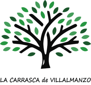 logo_color